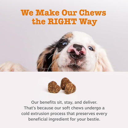Zesty Paws Probiotics for Dogs, Digestive Enzymes Gut Flora, Digestive Health, Diarrhea & Bowel Support, DE111, Dog Probiotic Soft Chew for Pet Immune System, Pumpkin, 250 Ct (Pack of 2)