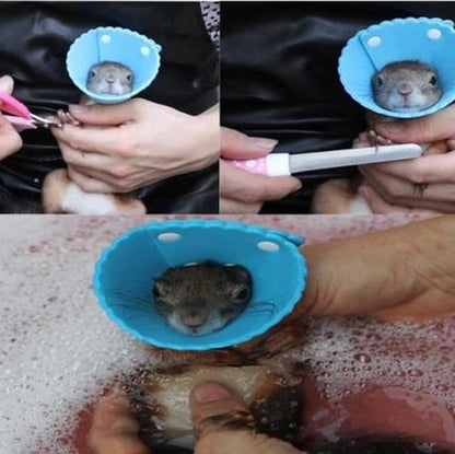 Squirrel Elizabeth Collar, Sugar Glider Protection Cone Neck Recovery Collar, Elizabeth Anti-Water E-Collar Cone for Small Animals, Soft Pet Neck Cone for Squirrel (for Chipmunk/Sugar Glider)