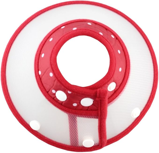Pet Plastic Clear Cone Recovery E-Collar with Dots Design Soft Edge for Small Dogs & Cats (Medium, Red)