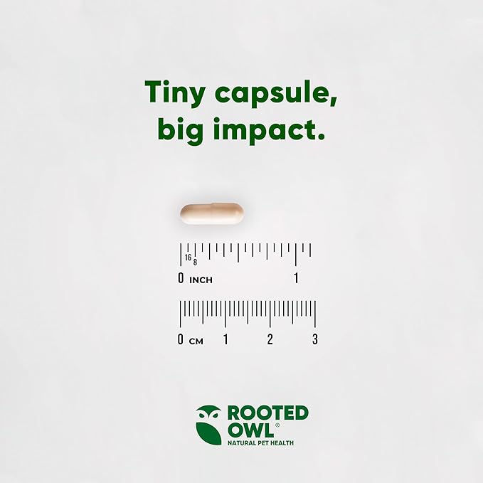 Rooted Owl Joint and Muscle Support for Cats and Small Dogs (Under 30 Lbs) - Supplement with UC-II Type II Collagen and L-Carnitine - 30 Count