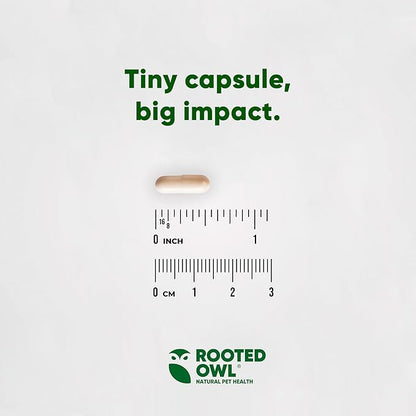 Rooted Owl Joint and Muscle Support for Cats and Small Dogs (Under 30 Lbs) - Supplement with UC-II Type II Collagen and L-Carnitine - 30 Count