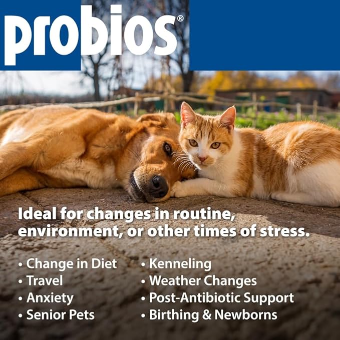 Probios for Dogs Soft Chews, Probiotics for Dogs, Daily Supplement for Gut Health, Digestion & Immune Support, Small Breeds, 4.23oz (Pack of 2)