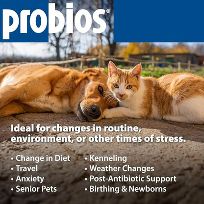 Probios for Dogs Soft Chews, Probiotics for Dogs, Daily Supplement for Gut Health, Digestion & Immune Support, Small Breeds, 4.23oz (Pack of 2)