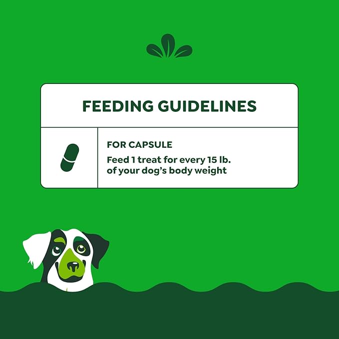 Greenies Pill Pockets for Dogs Large Size, Dog Treat Pouch for Capsule Medication, Hickory Smoke Flavor, (6) 7.9 oz. Pouches
