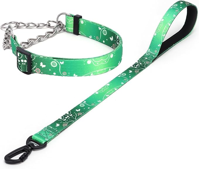 Martingale Dog Collar and Leash Set, Stainless Steel Chain, No Pull Training Collar with Flower Design, for Small, Medium, Large Dogs (NO8, L)