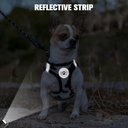 BEAUTYZOO Step in Dog Harness and Leash Set, Floral Pattern Reflective Dog Harness No Pull No Choke Puppy Harness for XXS XS S Dogs Cats, Soft Padded Mesh Vest Harnesses for Girl and Boy Pets