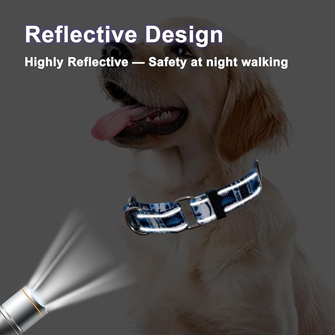 Reflective Martingale Collar for Dogs Nylon Training Collar with No Buckle, No Pull Escape Proof Dog Collar for Large Dogs（Blue Dinosaur，L）