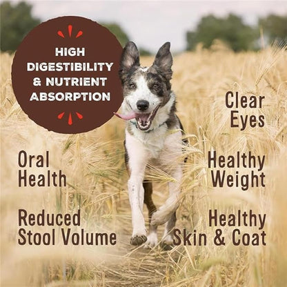 Primal Freeze Dried Raw Dog Food Nuggets, Beef, Complete & Balanced Meal, Also Use as Topper or Treat, Premium, Healthy, Grain Free, High Protein Raw Dog Food, 14 oz (Pack of 2)