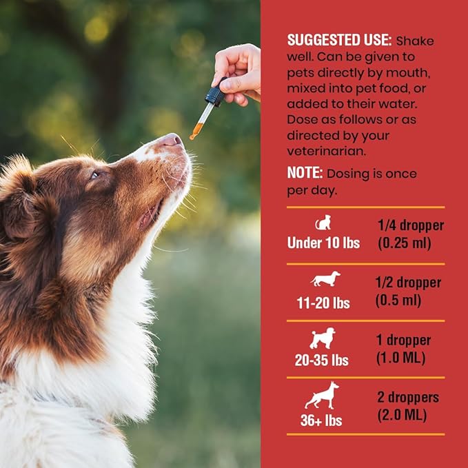Cat & Dog Urinary Tract Infection Treatment – Natural UTI Relief with Cranberry Drops – Kidney & Bladder Support – Helps Incontinence, Frequent Urination, Bladder Stones – Pet Renal Care Drops