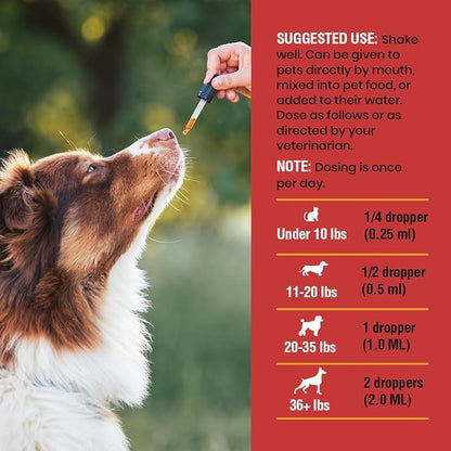 Cat & Dog Urinary Tract Infection Treatment – Natural UTI Relief with Cranberry Drops – Kidney & Bladder Support – Helps Incontinence, Frequent Urination, Bladder Stones – Pet Renal Care Drops
