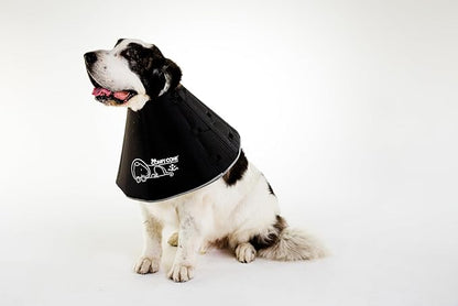 All Four Paws Comfy Cone Pet Cone for Dogs, Cats, XX-Large, Black - Comfortable Soft Dog Cone Collar Alternative for After Surgery, Wound Care, Spay, Neuter - Dog and Cat Recovery Elizabethan-Collar