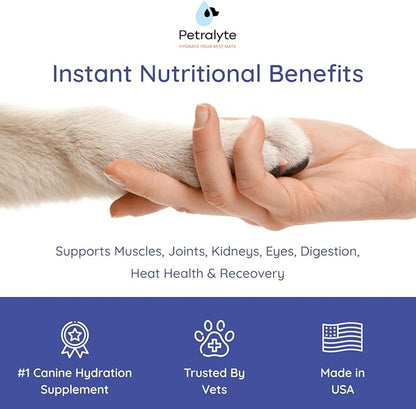 Petralyte Dog Electrolytes and Joint Supplement | Glucosamine, Chondroitin & MSM for Inflammation and Mobility Support | Electrolytes for Dogs with Prebiotics | Sample Pack | 8 Packets