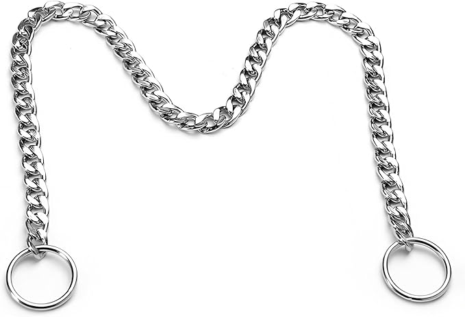 Flat Choke Chain for Dogs, Metal Slip P-Link Training Heavy Duty Dog Choke Collar Puppy Collars for Small Medium Large Big XL Breed Dogs, Silver L