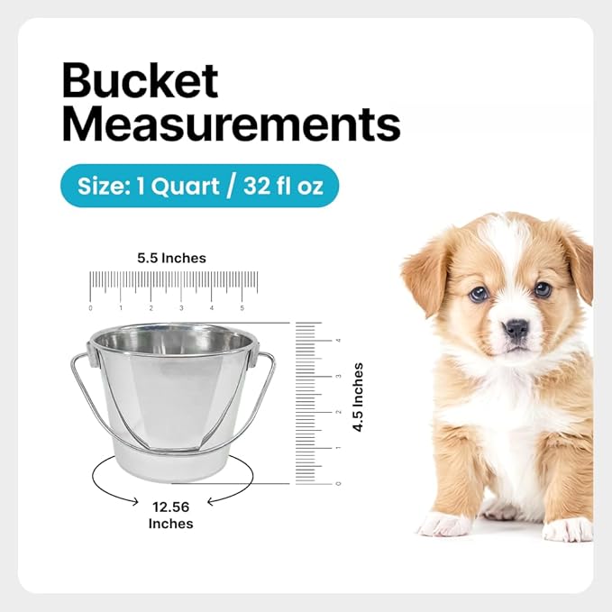 Heavy Duty Stainless Steel Bucket 1 Quart - Flat Side Small Metal Bucket for Feeding & Watering Pets, Livestock & Cleaning - Perfect for Crates, Kennels, Cages & Hang on Fences