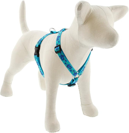 LupinePet Originals 3/4" Turtle Reef 14-24" Adjustable Roman Dog Harness for Medium Dogs
