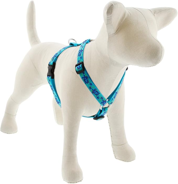 LupinePet Originals 3/4" Turtle Reef 20-32" Adjustable Roman Dog Harness for Medium Dogs