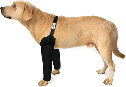 Front Leg Dog Recovery Sleeves - Cone Collar Alternative, Waterproof Abrasion-Resistant Washable 2.5mm Thick, Prevents Licking, Keeps Wounds Dry, 24-Hour Wear (Black, XS)