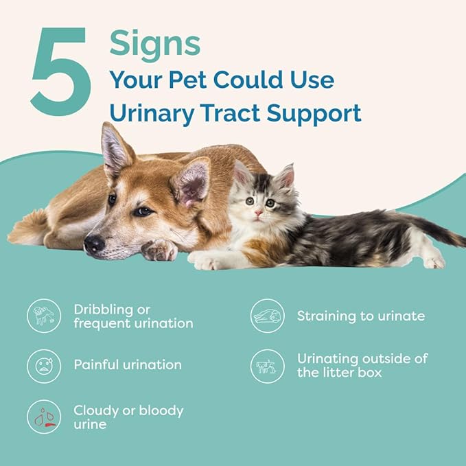 PranaPets Urinary Tract Support Liquid Supplement for Pets | Dog & Cat Urinary Supplement | Natural Bladder Support for Dogs & Cats