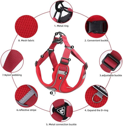 Dog Harness and Leash Set, Adjustable Triangle, Reflective Adjustable Puppy Vest, No Pull Soft Mesh Harness for Small, Medium Dogs, Cats (Red, L)