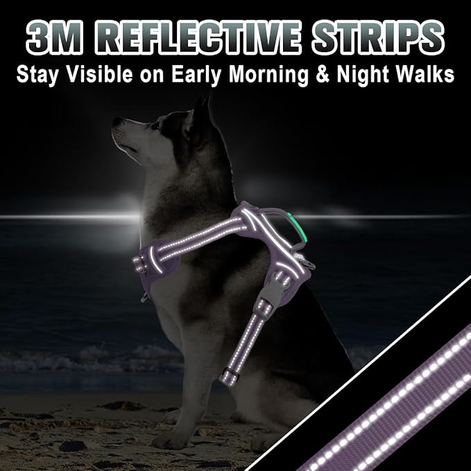 BARKBAY No Pull Dog Harness Large Reflective Dog Harness with Front Clip and Easy Control Handle for Walking Training Running with ID tag Pocket(Violet Purple,M)