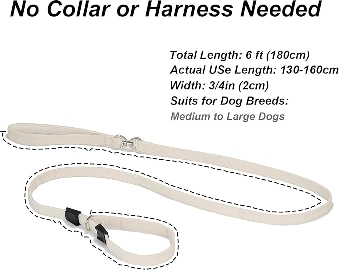 Slip Lead Dog Leash,Soft Corduroy 6 FT Dog Training Leash for Medium Large Dogs,No Pull Slip Leash and Collar with Padded Handle,White