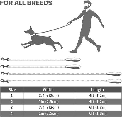 Taglory 16-24" Dog Collar & 4 FT Leash Set, Reflective, Adjustable, Safety Locking Buckle for Large Dogs