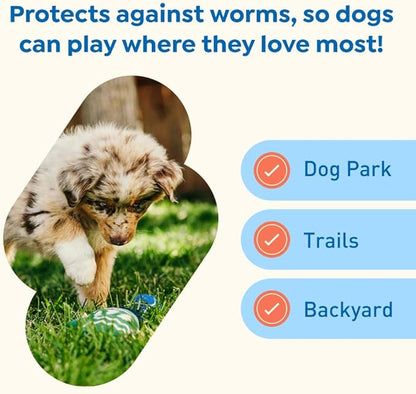 Interceptor Plus Prevention for Heartworm + 4 Other Worms for Dogs 2-8 lbs. | 12 Chews, 12-Month Supply
