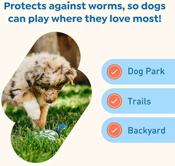 Interceptor Plus Prevention for Heartworm + 4 Other Worms for Dogs 2-8 lbs. | 1 Chew, 1-Month Supply