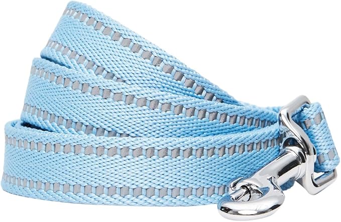 Blueberry Pet Essentials Reflective Dog Collar & Leash Set, Adjustable for Large Dogs | Safe Walking Gear for Pet Parents, Puppy Training & Daily Use LargeDogs, Baby Blue