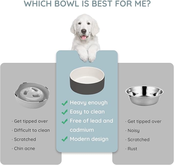 SPUNKYJUNKY 13.5OZ Ceramic Dog and Cat Bowl, Modern Cute Weighted Food Water Bowl for Replacement White-Grey (1 Pack)