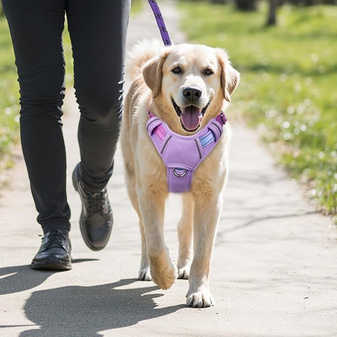 BARKBAY No Pull Dog Harness Large Reflective Dog Harness with Front Clip and Easy Control Handle for Walking Training Running with ID tag Pocket(Lavender Sky,XL)