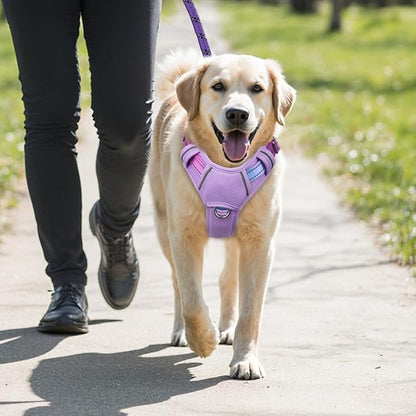 BARKBAY No Pull Dog Harness Large Reflective Dog Harness with Front Clip and Easy Control Handle for Walking Training Running with ID tag Pocket(Lavender Sky,XL)