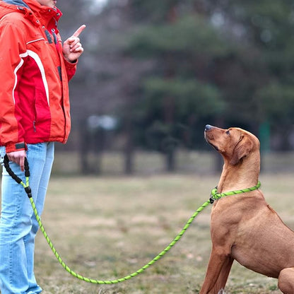 TagME 6ft Slip Dog Lead, No Pull Reflective Training Leash with Padded Handle, Professional Rope P-Leash for Small Medium Large Dogs, Heavy Duty Correction Lead for Walking & Training (Green)