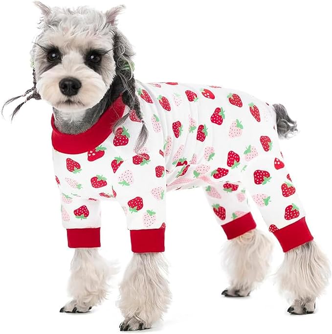 Dog Surgery Recovery Suit, Dog Onesie for Surgery Female Male Dogs, Dogs Pajamas Long Sleeve, Small Dogs Onesie, Abdominal Wound Bandages Surgical Suit, Cat Recovery Suit for Shedding Skin Disease