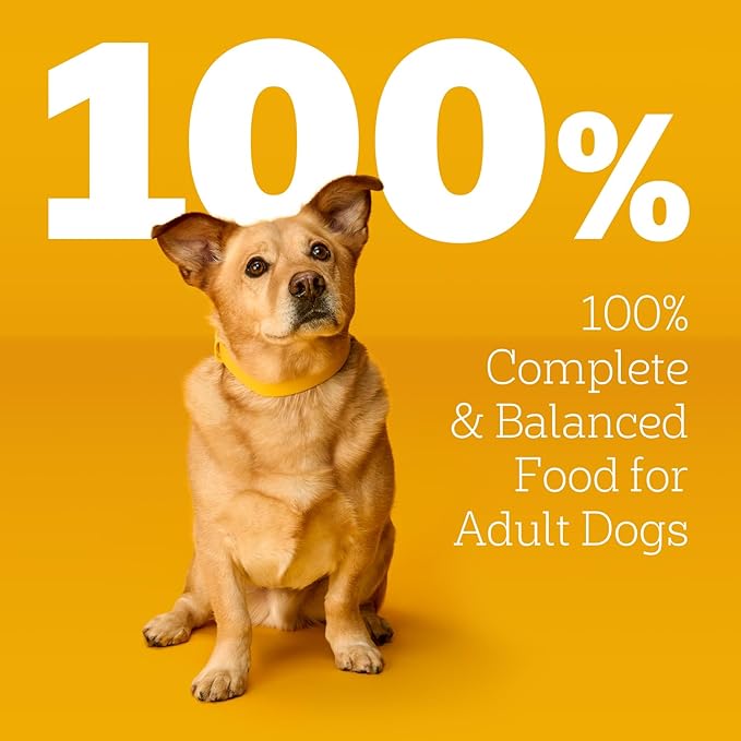 Pedigree Choice Cuts in Gravy Adult Wet Dog Food 16-Count Chicken, Bacon, & Cheese Flavors, 3.5 oz. Pouches