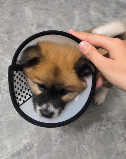 Dog Cone Collar Adjustable After Surgery–Soft, Comfortable Recovery E-Collar with Hook & Loop Closure, Protective Elizabethan Collar for Small, Medium & Large Dogs(Clear, XS (Neck 8.5"-10"))