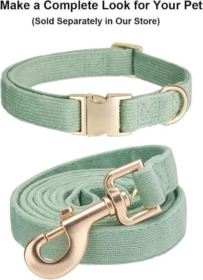 Soft Cotton Dog Leash, 5 Ft Heavy Duty Corduroy Dog Leashes with Gold Metal Hook for Small Medium Large Dogs,Medium,Grass Green