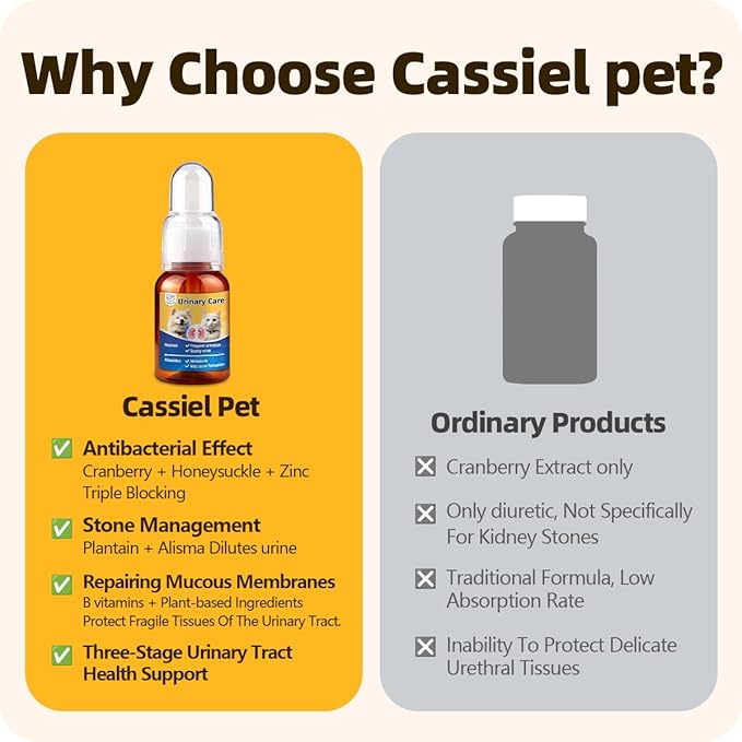 Urinary Tract Supplement for Urinary Tract Health, Infection Treatments, Bladder Health, Dog UTI, Bladder Stones, Incontinence Support, Pain Relief for Cats and Dogs 0.84 Fl Oz (1 Bottle)