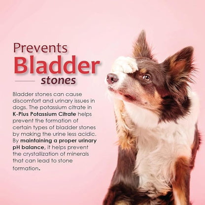 K-Plus Potassium Gluconate Renal Gel Plus Cranberry and EPA for Dogs and Cats - Veterinarian Approved Renal Supplement - Supports Potassium Balance - (6 Pack, Gel)