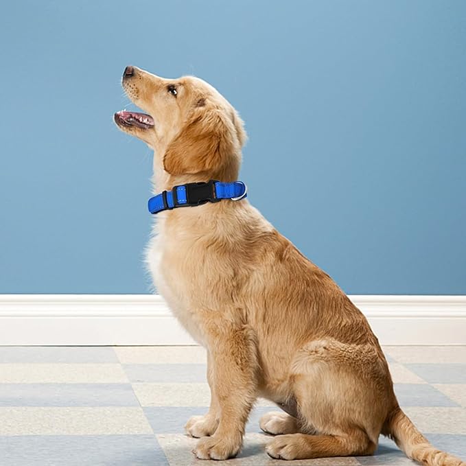 Reflective Dog Collar, Adjustable Soft Neoprene Padded Nylon Pet Collars with Buckle for Puppy and Small Dogs, Cats, Navy Blue,XS