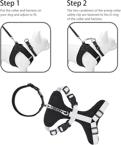 Metal Dog Collar Safety Clip, 2 Pack Stainless Steel Backup Clip for Prong Collar, Harness, Pinch Collar, Gentle Lead With Carabiner