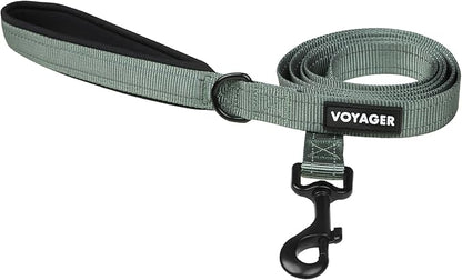 Best Pet Supplies Voyager Reflective Dog Leash or Collar with Neoprene Handle, for Small, Medium, and Large Breed Puppies, Cute and Heavy Duty for Walking, Running and Training - Moss Green (Leash), S