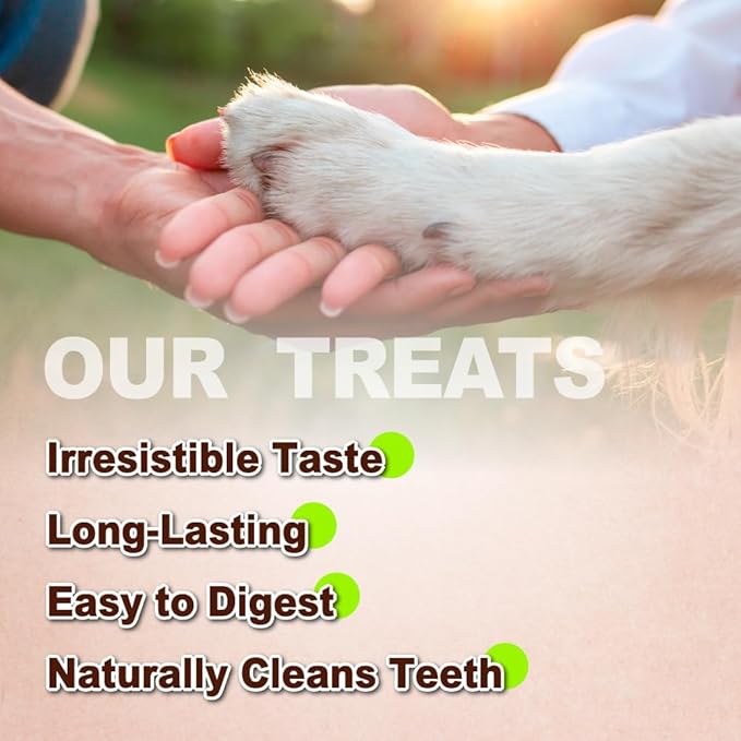 A Freschi srl Turkey Tendons for Dogs, Long-Lasting, Hypoallergenic Rawhide Alternative, Human Grade, Healthy Puppy Chews, Natural Dog Treats for Small Dogs, Strips, 3oz Pack