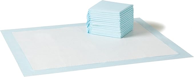 Amazon Basics Basic Disposable Dog Training Pads,XL, 15 Pack