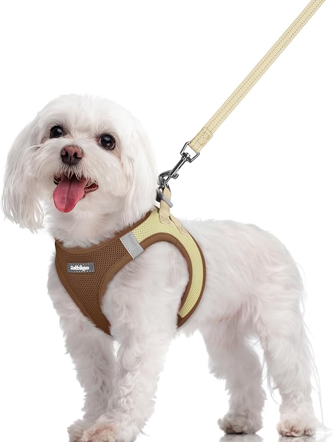 rabbitgoo Dog Harness Small Sized and Leash Set, Step in Soft Light Puppy Vest, Breathable Mesh Pet Harness, Reflective for Safe Easy Walking, Brown & Beige M