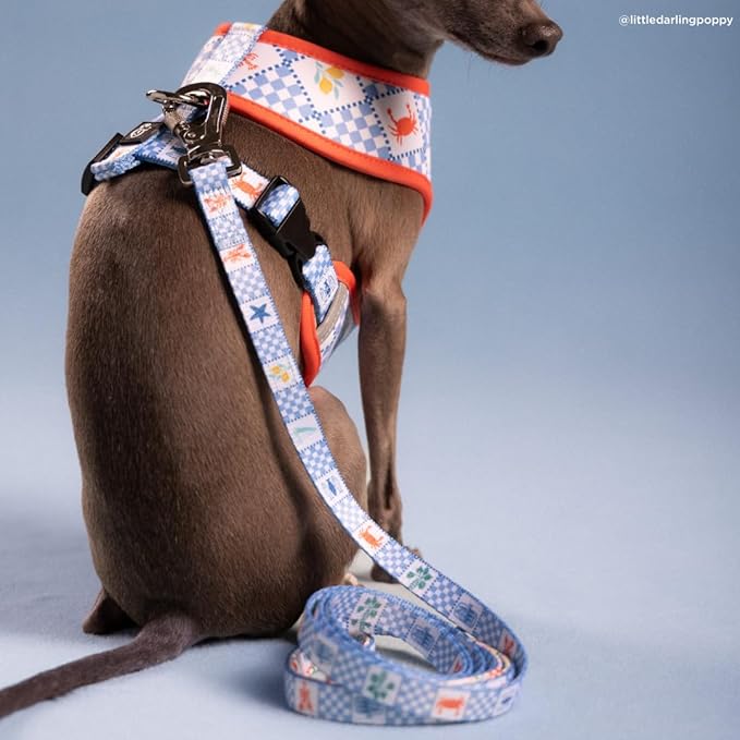 Lucy & Co. Sunny in Sicily Dog Leash, Durable Matching Dog Lead with Heavy Duty Hardware, Large