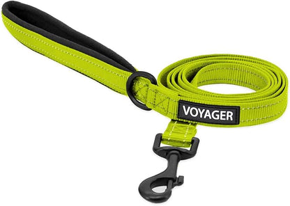 Best Pet Supplies Voyager Reflective Dog Leash or Collar with Neoprene Handle, for Small, Medium, and Large Breed Puppies, Cute and Heavy Duty for Walking, Running and Training - Lime Green (Leash), M