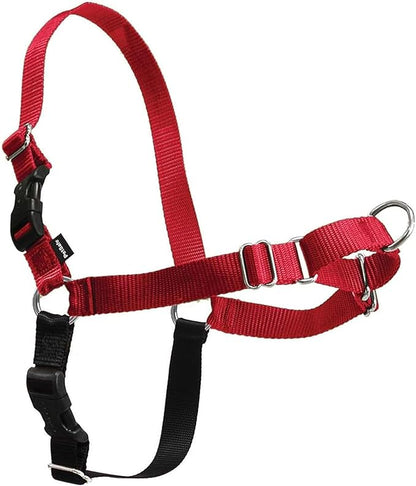PetSafe Easy Walk Harness for Dogs - Pull-Free Walks - Patented Martingale Loop Design - Front Chest Leash Attachment - Comfort Straps - Breathable Harness Design - Large, Red/Black