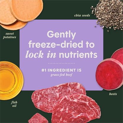 Instinct RawBoost Functional Mixers, Freeze Dried Dog Food Topper, Grain-Free, Real Beef - Multivitamin for Adults, 12.5 oz. Bag