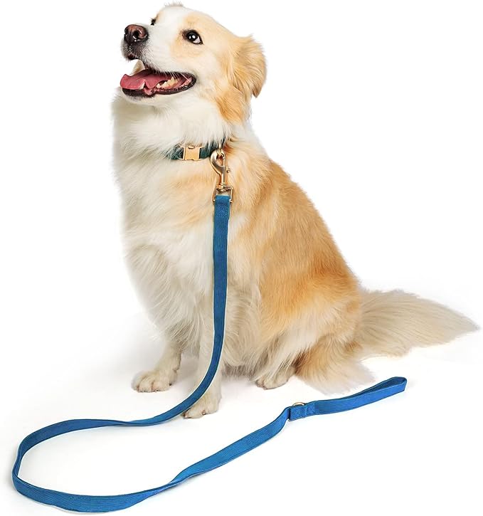 Soft Cotton Dog Leash, 5 Ft Heavy Duty Corduroy Dog Leashes with Gold Metal Hook for Small Medium Large Dogs,Small,Dark Blue